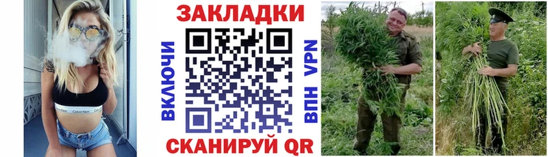 Бошки Шишки Елизаветинская