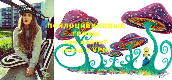 молекула духа Кукмор