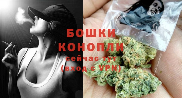 индика Балабаново