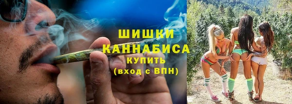 ПСИЛОЦИБИНОВЫЕ ГРИБЫ Арсеньев