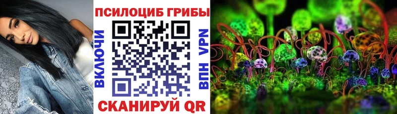 Галлюциногенные грибы Psilocybe  купить закладку  Елизаветинская 